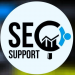 Website SEO Service...